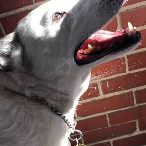 Meet your Posher, Carrie